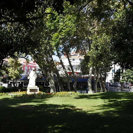 Wondrous Terrace In Center *